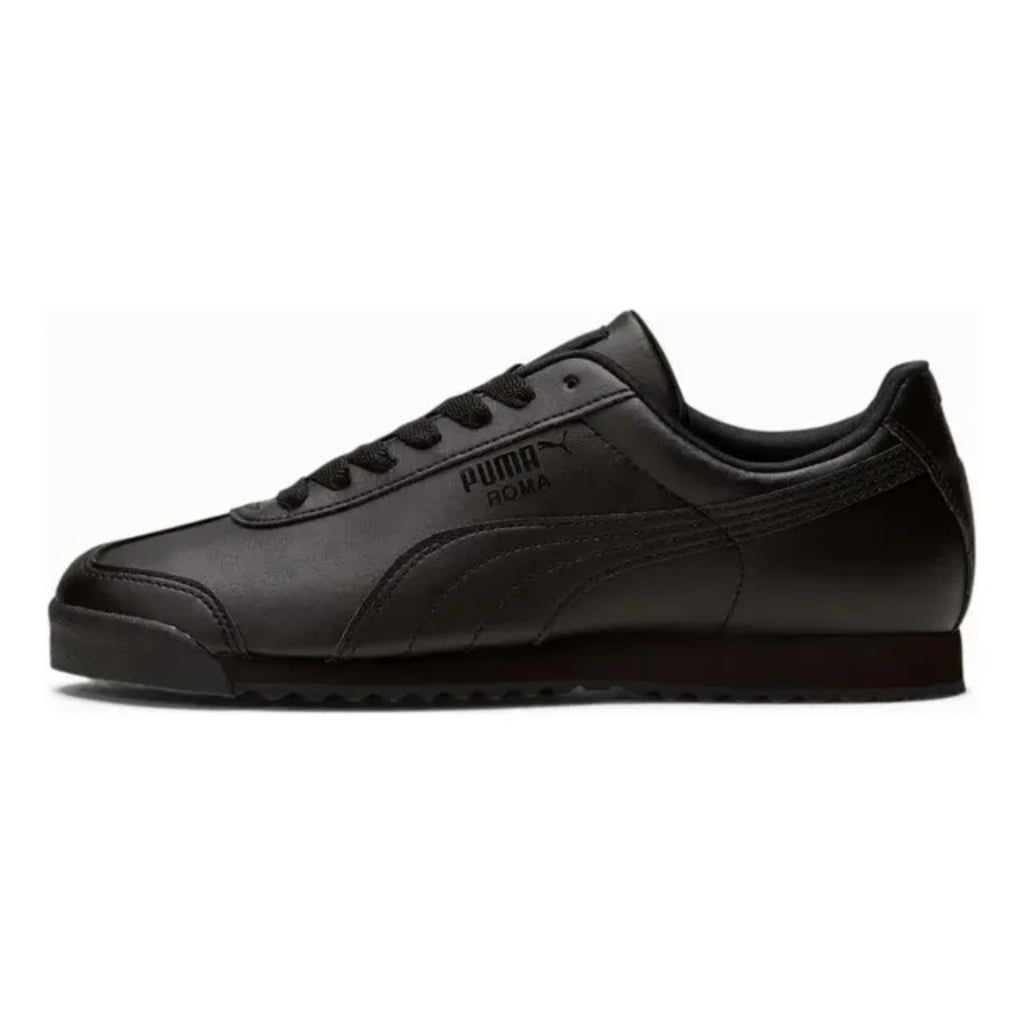 ROMA 24 STANDARD