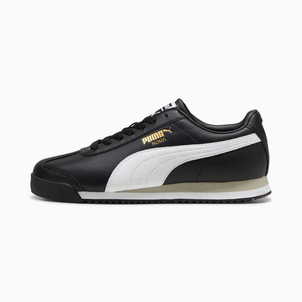 ROMA 24 STANDARD