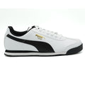 ROMA BASIC