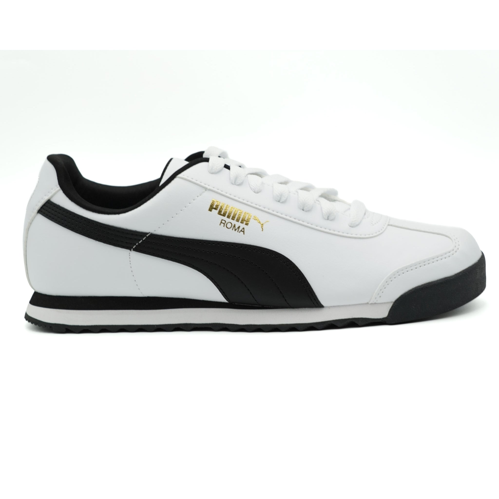 ROMA BASIC
