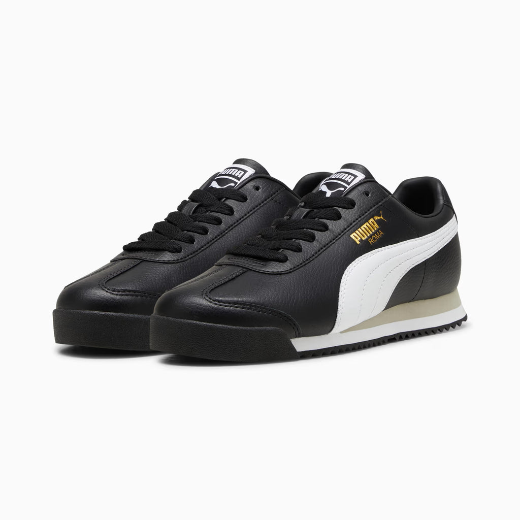 ROMA 24 STANDARD