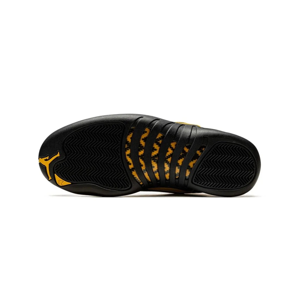 NIKE AIR JORDAN RETRO 12