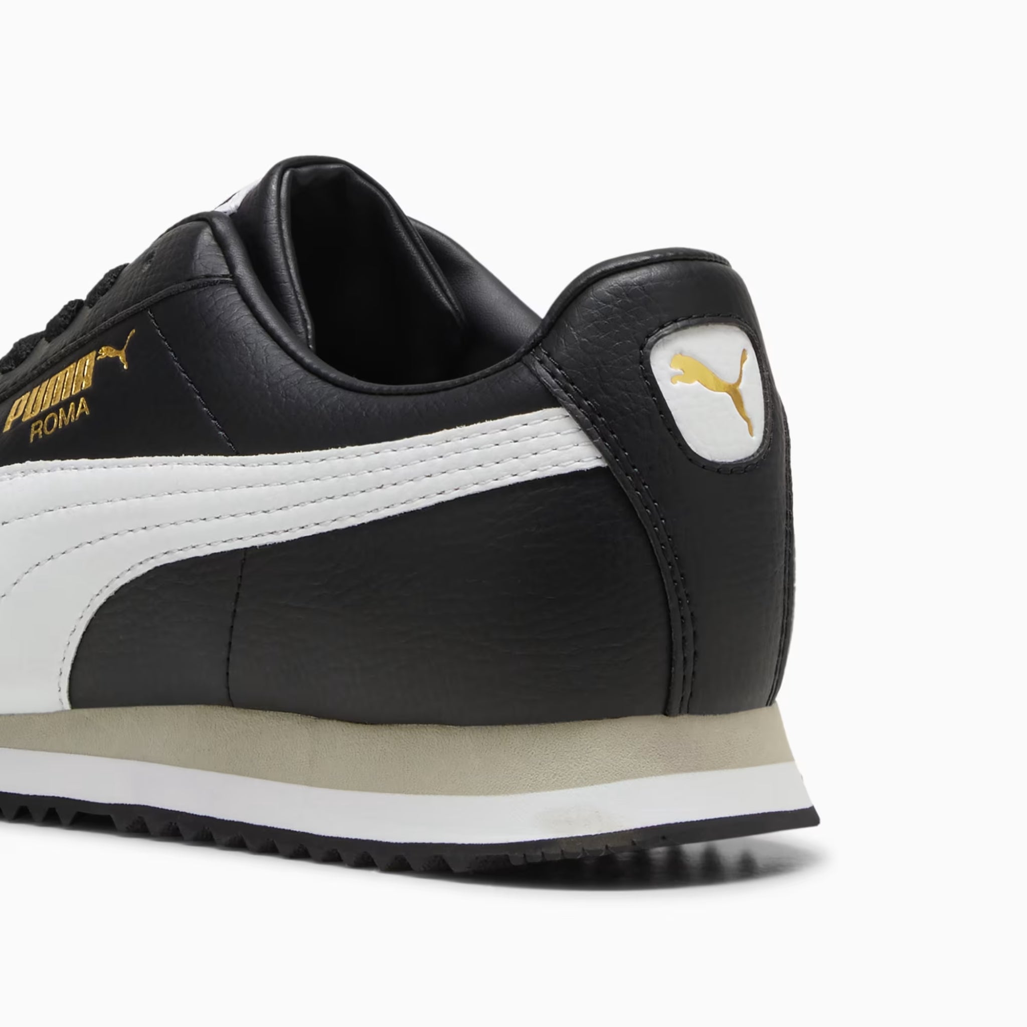 ROMA 24 STANDARD