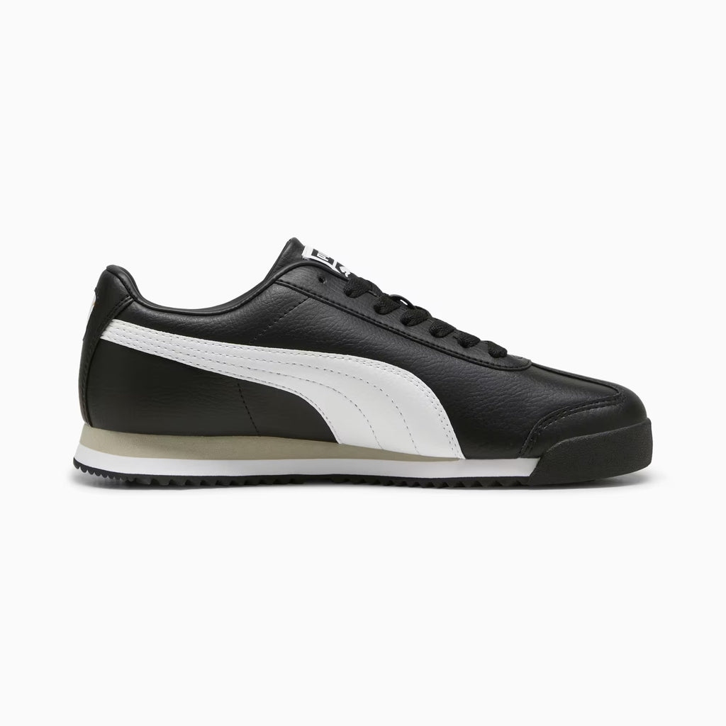 ROMA 24 STANDARD