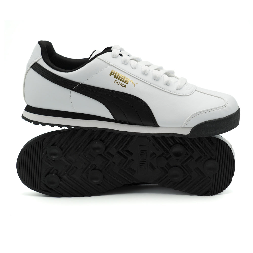 ROMA BASIC