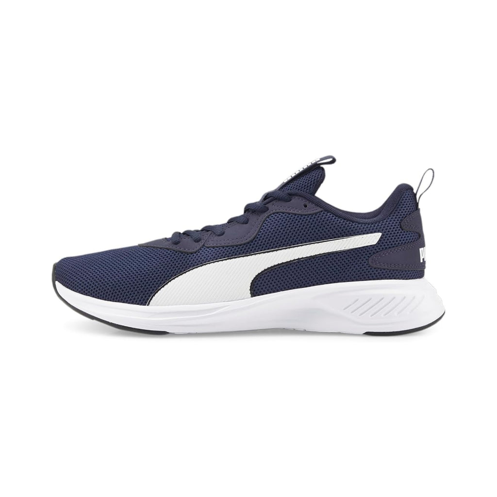 PUMA Incinerate