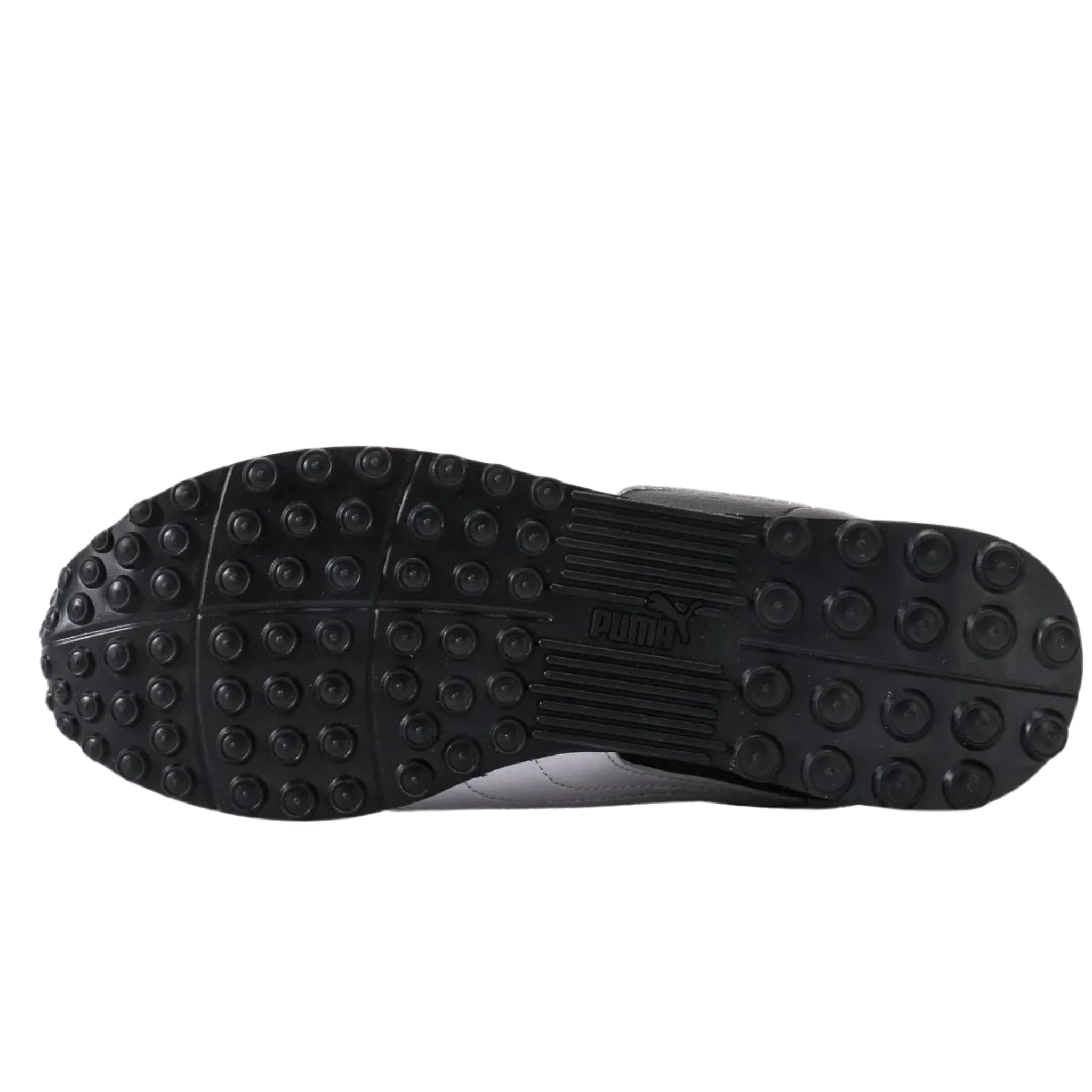 Puma Turino