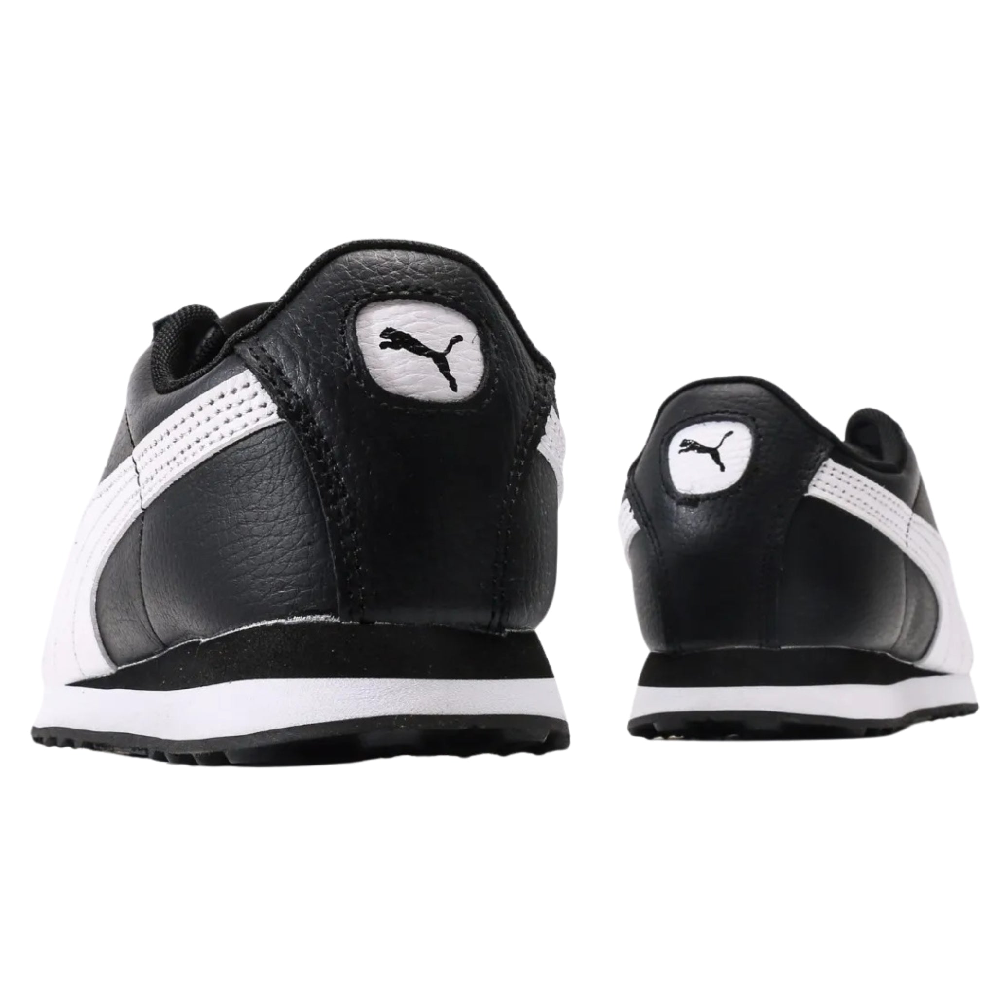 Puma Turino